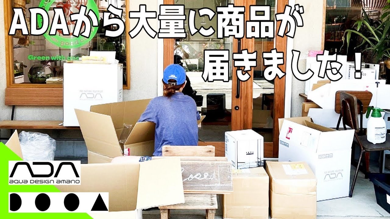 アクアリウム】ADAから大量に荷物が届きました（えっこんなに流木がっ 