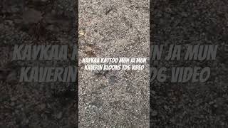 Käykää Kattoo Mun Ja Mun Kaverin Bloons Video