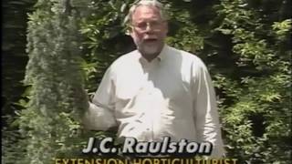 Almanac Gardner: Color in the Garden