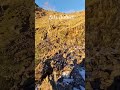 #waterfall #travel #shorts #nature #hiking #solo #walk #lakedistrict