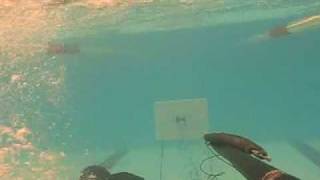 Pescasub : Tiro Di Prova Mr Carbon 94 Con Asta Torsion
