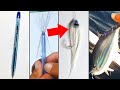 DIY Fishing Lure made from Ballpen and Nylon Fishing Line (Tutorial)