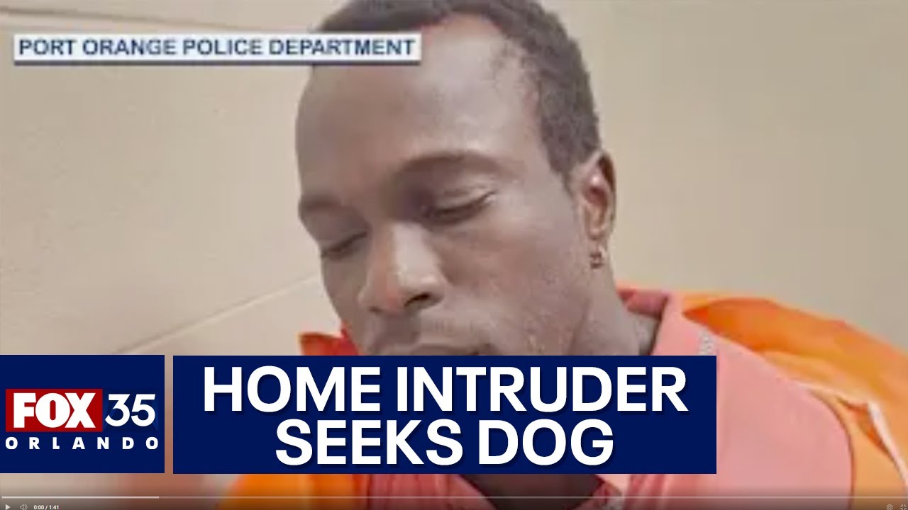 Florida man breaks into home that he thinks his dog is trapped inside ...