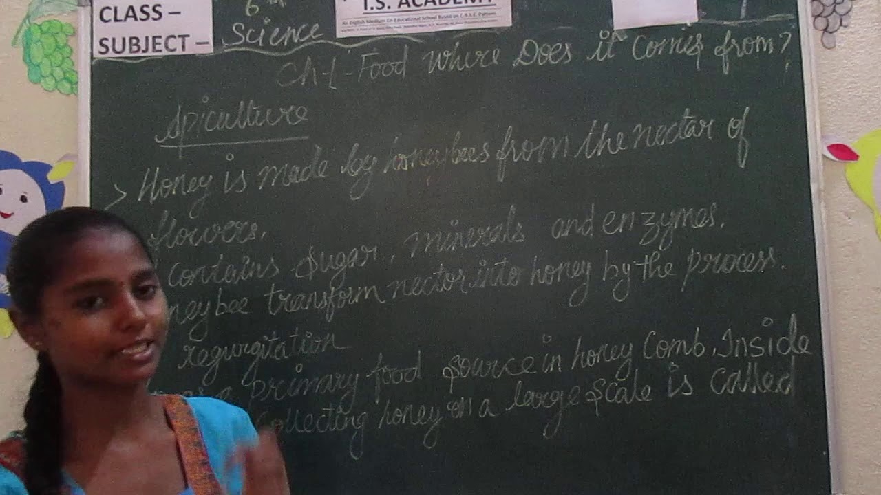 SCIENCE CLASS 6 PART 9 I.S.ACADEMY, ALWAR YouTube