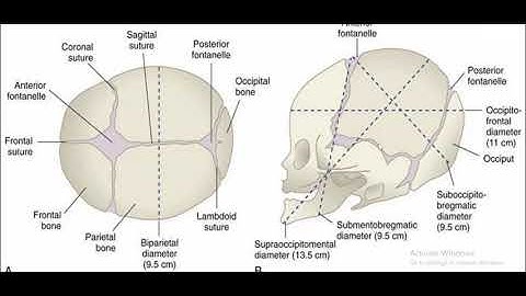 MRCOG Part-1 Online Preparation | Physiology & Endocrinology - Physiology of Labour- The DrAcademy!
