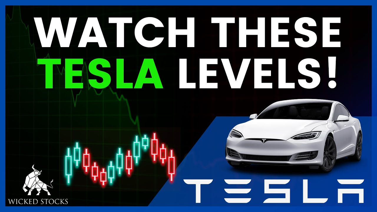 Tesla Stock Price Analysis | Key Levels To Watch for October 24th, 2024 ...