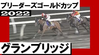 史上初３歳馬が勝利！グランブリッジが不良馬場の激戦を制する【ブリーダーズゴールドカップ2022】