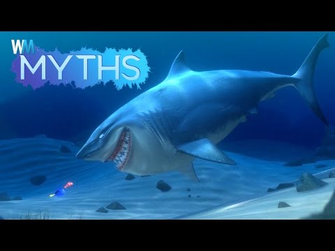 Video: Toothy Lies: 5 Top Shark Myths - Alternativ Visning