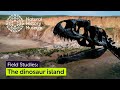 Isle of Wight: Natural Wonders and Fossil Discoveries