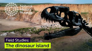 Isle of Wight: the dinosaur island | Field Studies (Audio Described) by Natural History Museum 373 views 3 weeks ago 9 minutes, 29 seconds