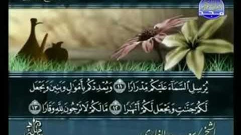 سورة نوح من الآية 11 الى الآية 28