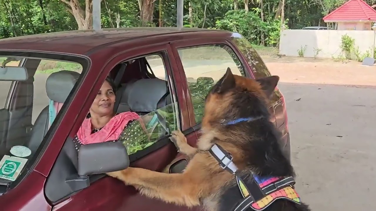 അമ്മയാണ് സത്യം അച്ഛൻ ഇല്ലാതെ ഞാൻ വരില്ല|Leo|Laika|Chottu|DileeKumar