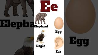 Alphabet E e | E for Elephant | E for Egg| E for Eagle | E for Ear| Educational
