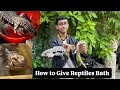 How to Give Bath to Reptiles | How to Give Snakes Bath | Hmne Snakes Ko Bath Dia | Ao Sikhe
