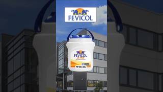How Fevicol Became India's Glue