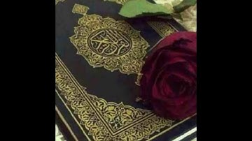 قران كريم بصوت جميل جدا جدا يشرح القلب القارئ زيد الزبيدي