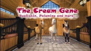 The Cream Gene - Palomino, Buckskins and more explained!