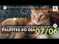 Palpite do dia 07/06/2026 Jogo do Bicho + Loteria Tradicional - Resultado Fácil