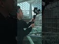 DJI RS3 Mini | Lightweight Travel Gimbal! #shorts