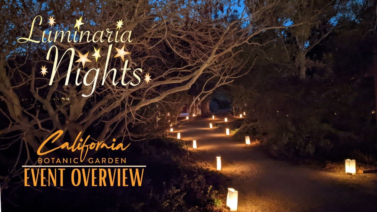 Luminaria Nights California Botanical Garden Claremont YouTube