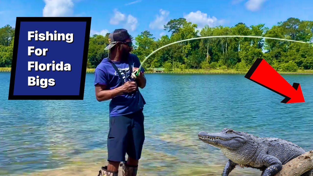 Topwater Fishing Near Gators and This Happened| Florida Pond Hopping