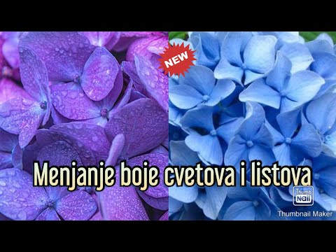 Video: Kako Promijeniti Boju Cvijeta