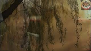 Seberkas Mimpi #mangkicauoffecial #laguciptaansendiri #music #laguindhie #viralvideo #vidioviral