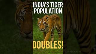 India’s Tiger Population Doubles | Indian tigers | interesting fact | fact | | Lenxir Facts |