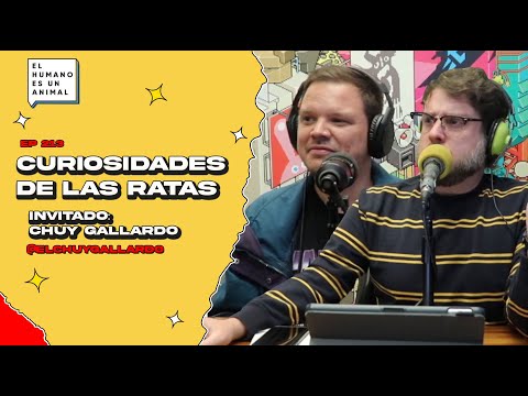 Curiosidades de las ratas - El humano es un animal PARTE 2