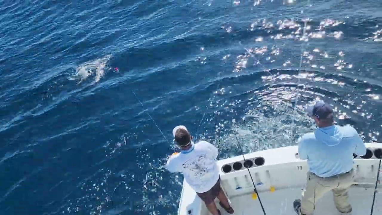 Catching 5 Sailfish in 7 Days Fly Fishing Adventures in Quepos Costa Rica with Big Eye 2 Sportfishin