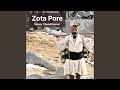 Zota pore