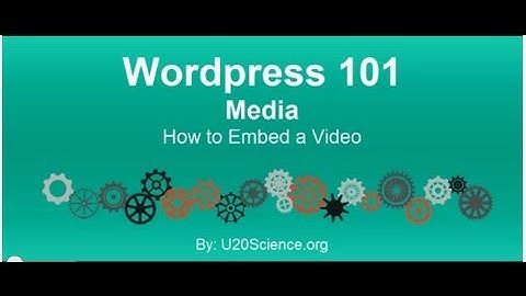 Wordpress 101 Tutorial: How to Embed a Video