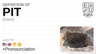 PIT meaning, definition & pronunciation | What is PIT | How to say PIT
