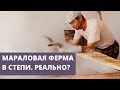 Выпуск #5 | Съездили на мараловую ферму в 150 км от Семея | Санаторий КХ “Багратион” | Гоу на ферму