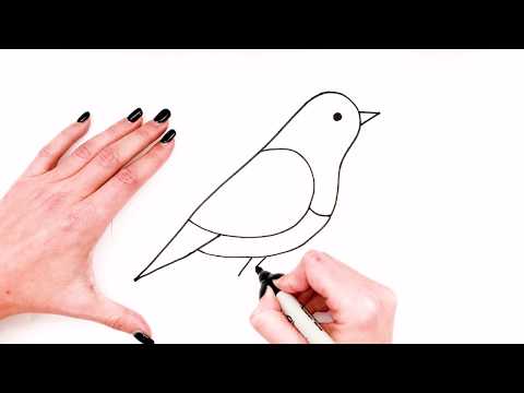 How to Draw a Singing Bird Easy  AnyBodyCanDraw with Sata 