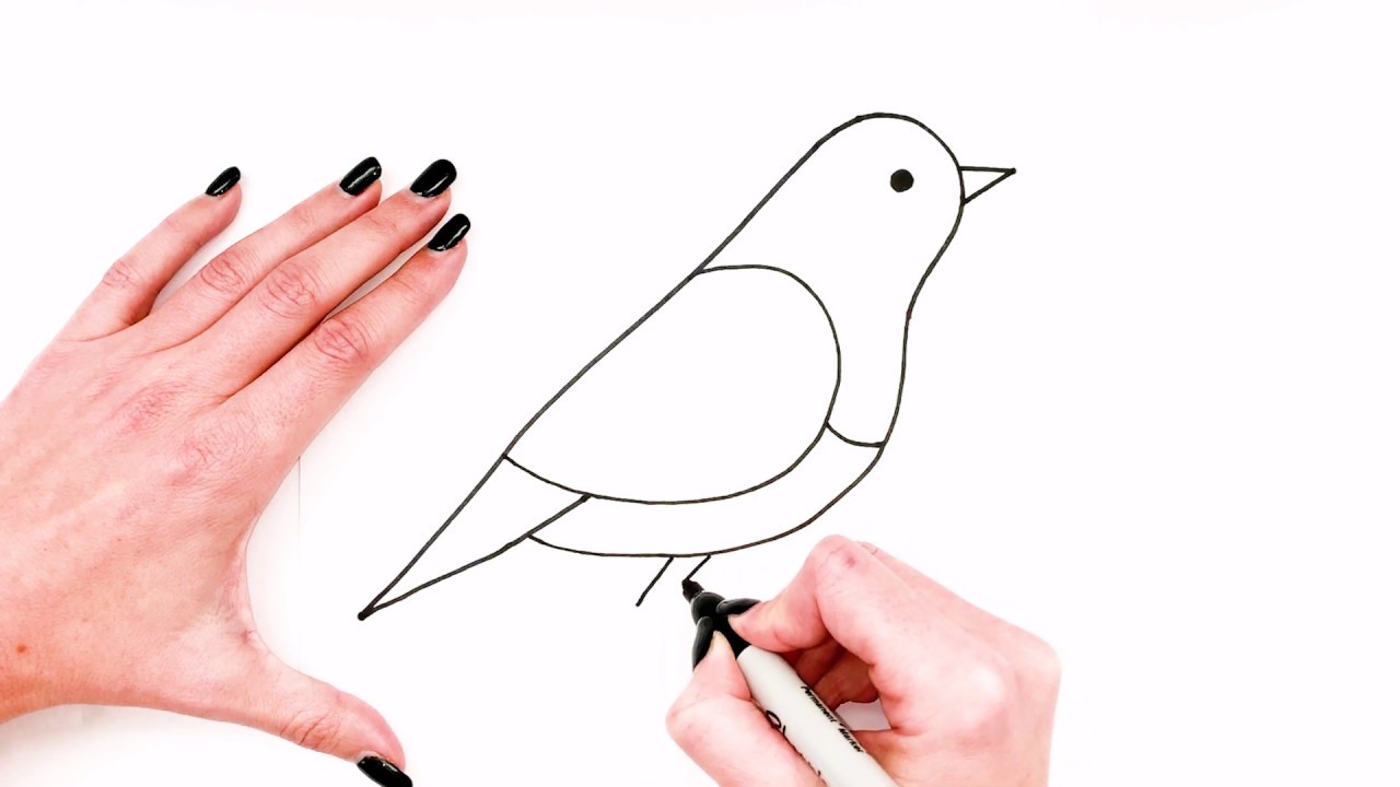 Doodle Time How To Draw A Cute Bird Comment Dessiner Un Oiseau | The ...