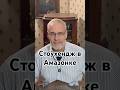 Стоухендж в Амазонке #точносказано #история #красивосказано #новости #скрытые #факты #хочуфакты