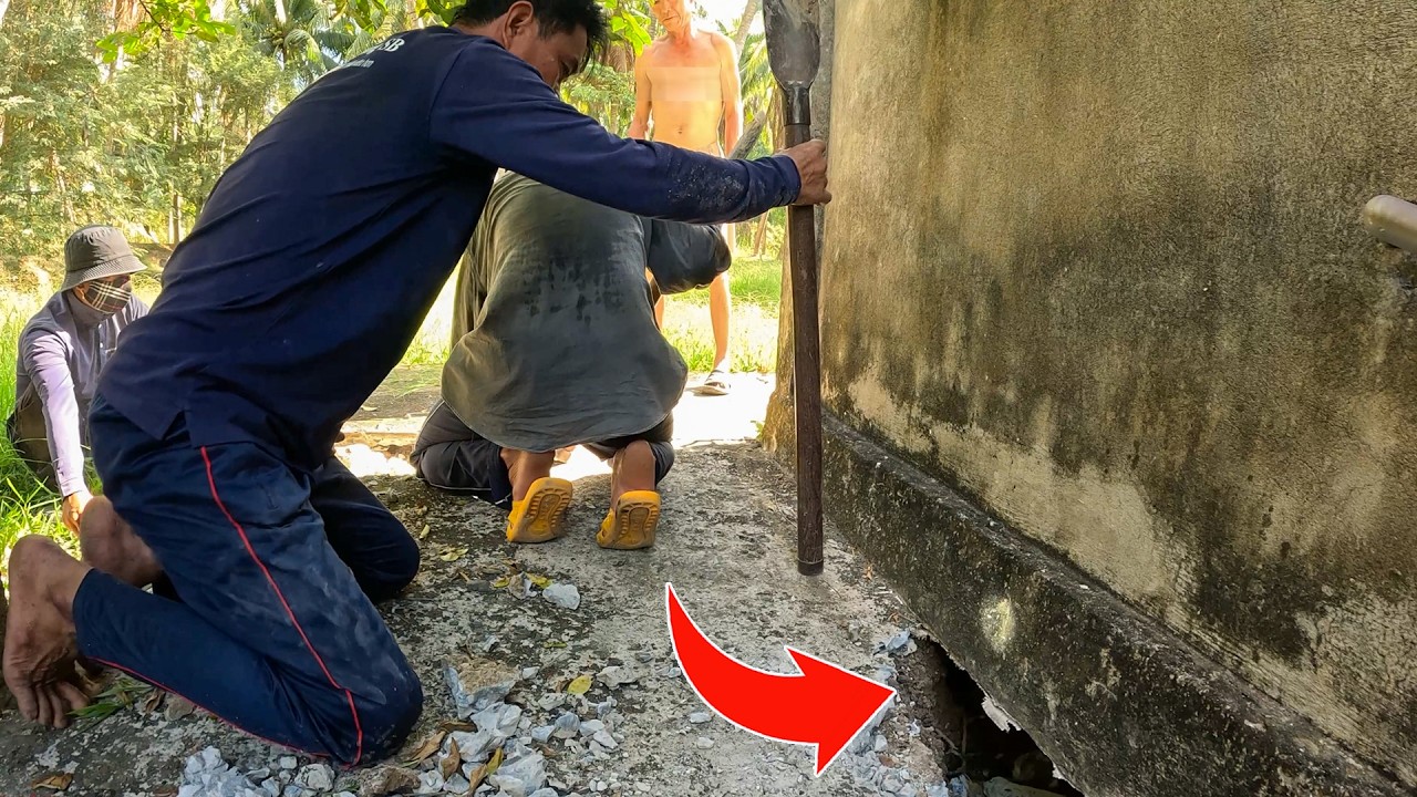 Giúp Chú Bắt Con Rắn Đã Ở Nhiều Năm Dưới Nền Nhà | TGSB 