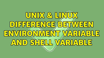 Unix & Linux: Difference between environment variable and shell variable