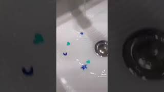 Download Lagu EXPERIMENT #part2 | MAAP AGK NORAK TAPI BERHASILL YAYYYY :D #shorts #experiment #marikitabuktikan MP3