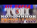 ХІТ ПАРАД ТОП 5 Закарпатські коломийки за ЛИСТОПАД 2020