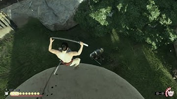 The LITERAL Best Assassin