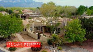 317 Plaza Muchomas video tour