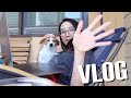 ???? Weekend Vlog: ???+??????????????????????