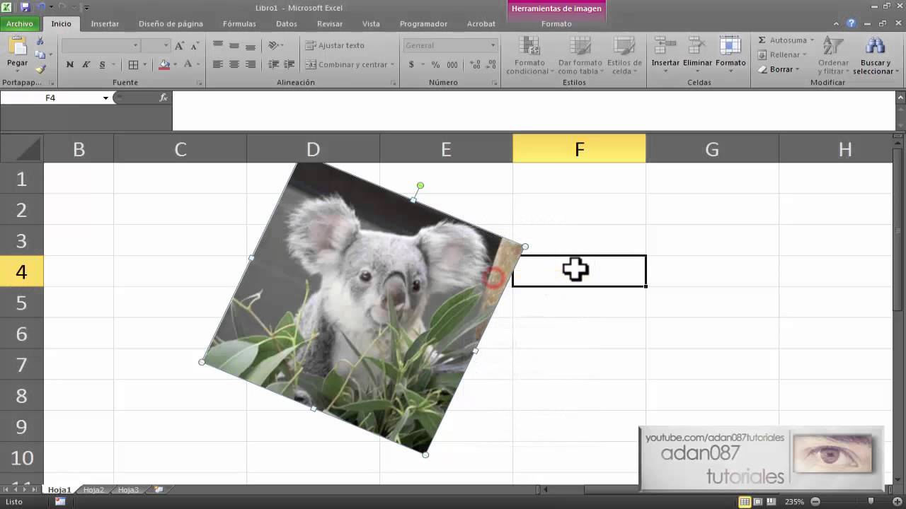 Excel girar o rotar imagen un angulo determinado