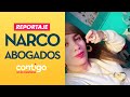 REPORTAJE | Antonella y los narco abogados: El imperio del tráfico - Contigo en la Mañana