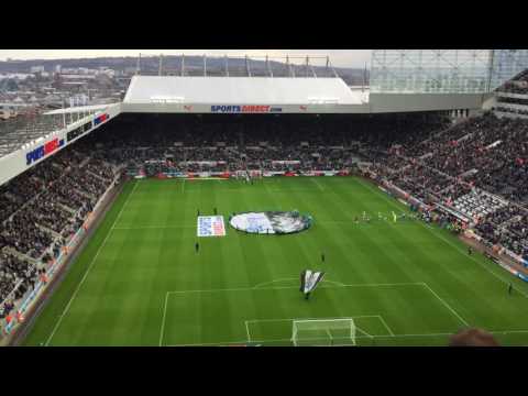777slo x ARENAGACOR - Newcastle v ITFC pre-kick off