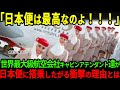 【海外の反応】「日本は本当に別格なのよね!!」世界最大級の大手航空会社エミレーツ航空のCA達が日本行きのフライトに搭乗したがる理由とは