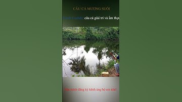 Nhà Mình Đăng Ký Kênh Ủng Hộ Em Nhé | Câu Cá Mương Suối | Câu Cá Giải Trí Và Ẩm Thực #shorts