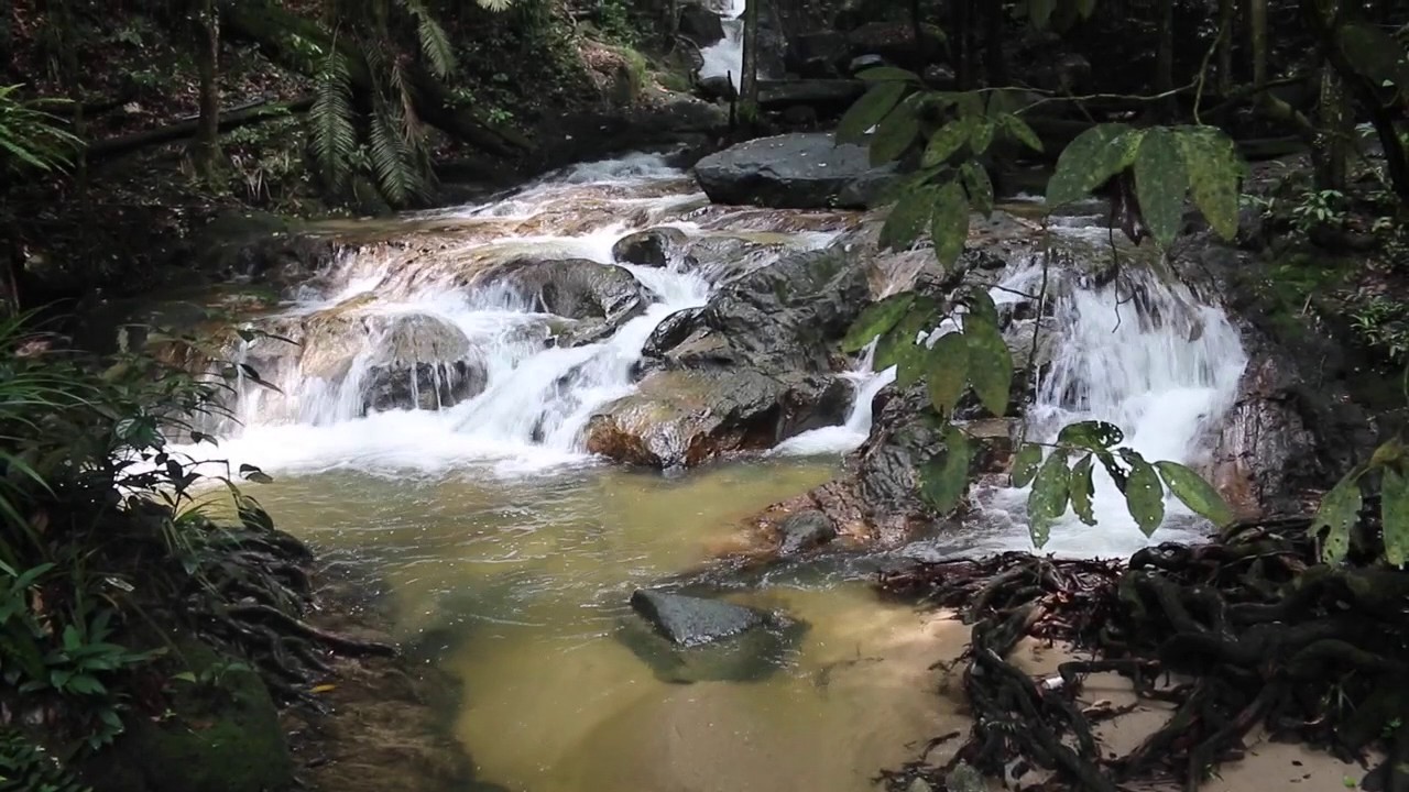  Sungai Tekala Recreational Forest YouTube